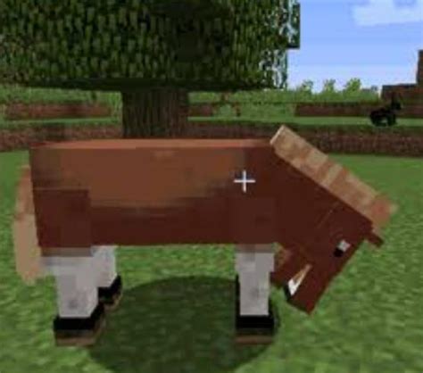 M­i­n­e­c­r­a­f­t­’­t­a­ ­A­t­l­a­r­ ­N­a­s­ı­l­ ­E­v­c­i­l­l­e­ş­t­i­r­i­l­i­r­